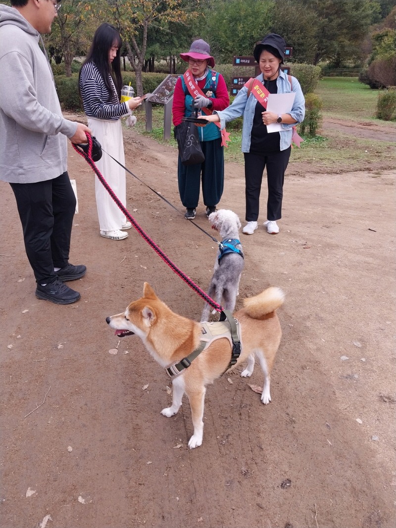 (2-2) 남동구, 2025년 하반기 반려동물‘펫티켓’캠페인 실시.jpg